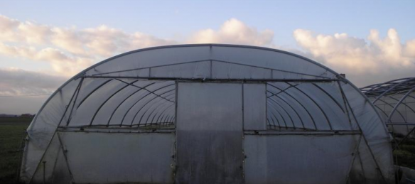 Tunnelserres, Broeikassen, Tuinbouw, Serrebouw, Kweken van planten, Kweken van groenten, Metalen rozenbogen laten maken, Regenkappen voor aardbeien, Tunnelserre op maat, Serresop maatDiksmuide, West-Vlaanderen